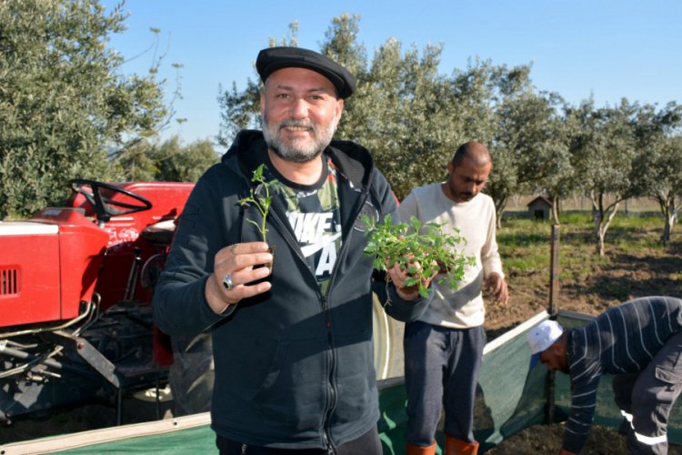 H&uuml;sn&uuml; Şenlendirici, &ccedil;iftliğinde k&ouml;y hayatı yaşıyor