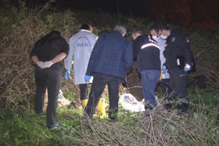 Boş arazide &ccedil;ok sayıda kemik ve kafatası bulundu