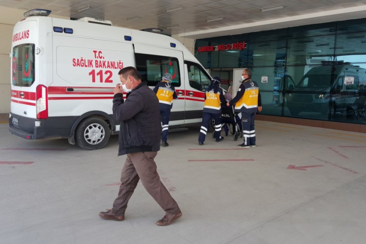 Yabani arıların saldırısına uğrayan kadın hastanelik oldu