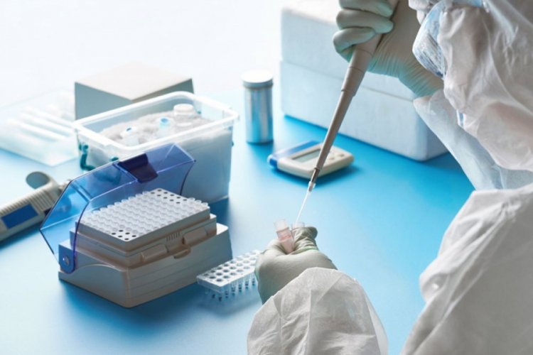 İngiltere'de geliştirilen potansiyel aşının klinik denemelerine başlanacak