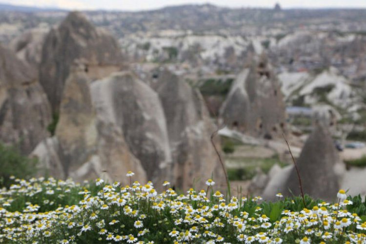 Kapadokya'nın ilkbahar manzarası b&uuml;y&uuml;l&uuml;yor