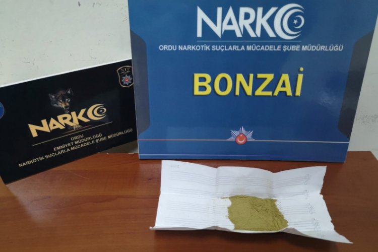 Ordu'da bonzai ele ge&ccedil;irildi