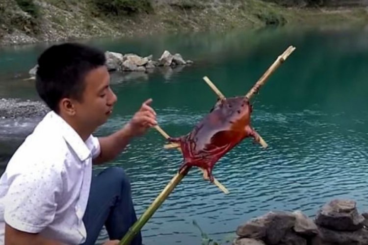 &Ccedil;in'den en &ccedil;ok t&uuml;ketilen vahşi hayvana yasak geldi