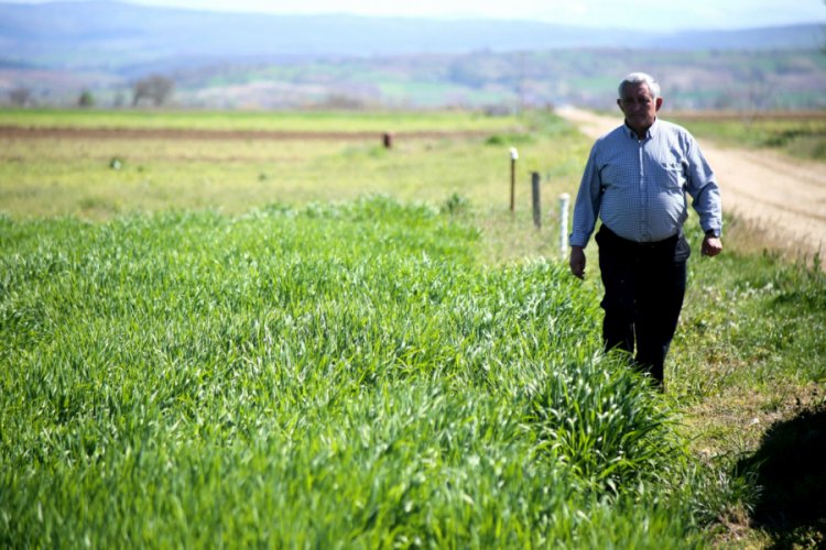 Bursa'da çiftçiler bollukta da tanzim satış noktası istiyor