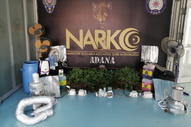 Adana'da villaya Hint keneviri operasyonu