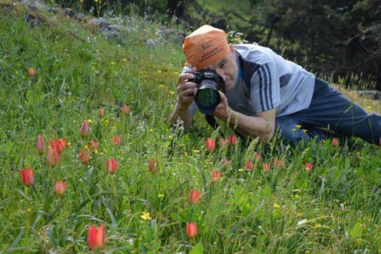 Laleler erken a&ccedil;tı, koparmanın cezası 73 bin lira