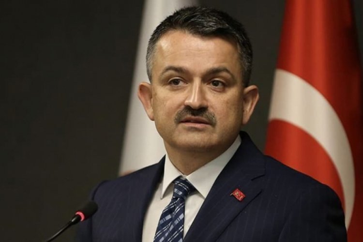 Bakan Pakdemirli: Gerekirse devlet olarak biz alırız