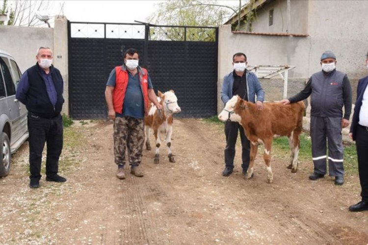 Milli Dayanışma Kampanyası'na ge&ccedil;im kaynakları hayvanlarıyla katıldılar