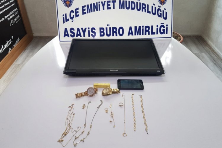 Villalardan hırsızlık yapan ş&uuml;pheli tutuklandı