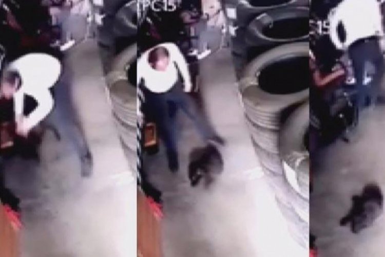 Yavru k&ouml;peği yere vurarak &ouml;ld&uuml;rd&uuml;!