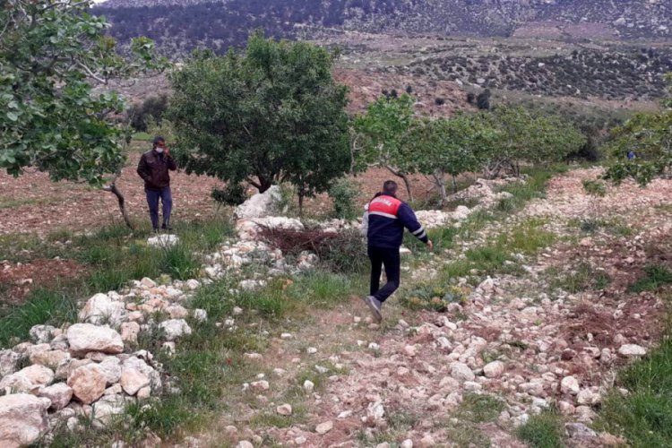 Kayıp kız, babaannesinin ila&ccedil;larını i&ccedil;ince arazide uyuyakalmış