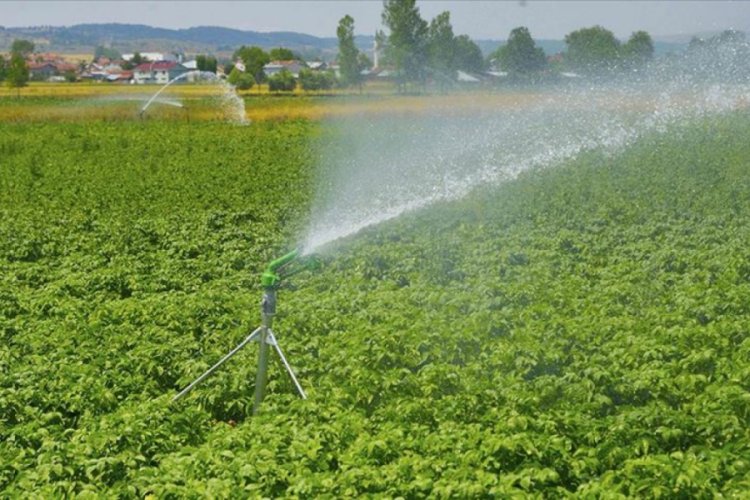 Kastamonu'da sulu tarımla ekonomiye 290 milyon liradan fazla katkı sağlanacak