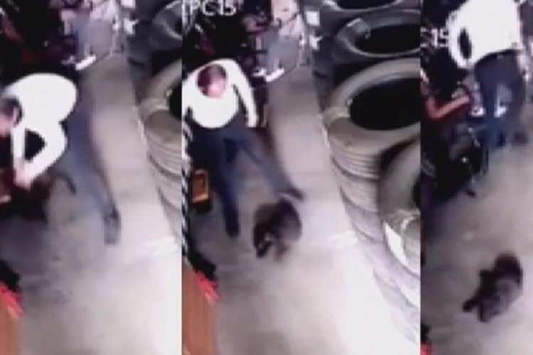 K&ouml;peği yere vurarak &ouml;ld&uuml;rm&uuml;şt&uuml;! Kan donduran olayda karar verildi