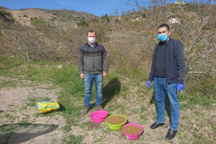 Sokak hayvanları i&ccedil;in doğaya yem bırakıldı