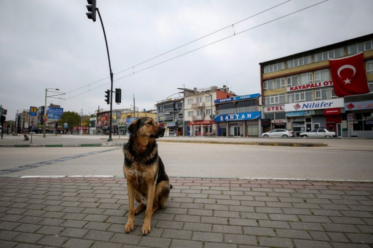 Bursa'da sokağa &ccedil;ıkma kısıtlamasının &uuml;&ccedil;&uuml;nc&uuml; g&uuml;n&uuml;nde sessizlik hakim