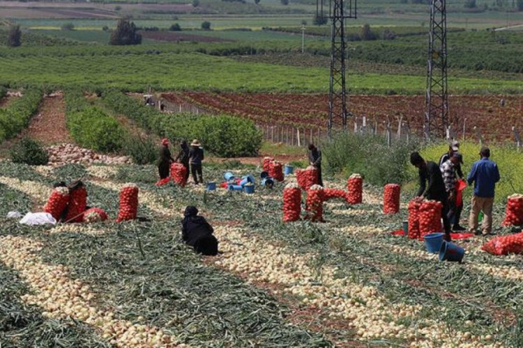 &Ccedil;ukurova'da &uuml;retime ara verilmiyor