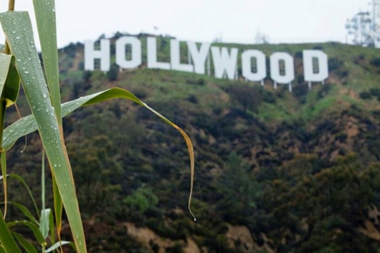 Hollywood yıldızlarının kelime başına aldığı para a&ccedil;ıklandı