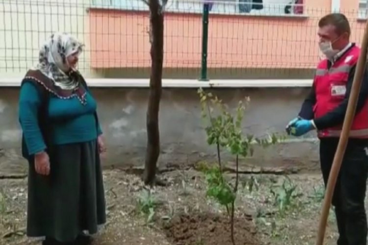 Evinden &ccedil;ıkamayan kadın fidan istedi
