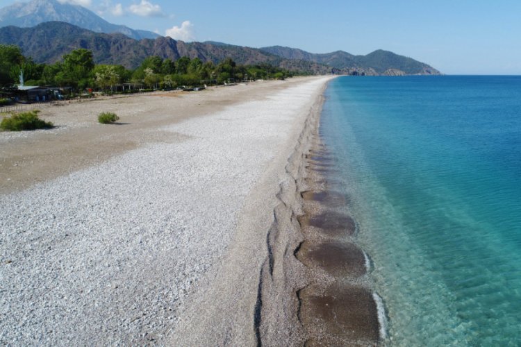 Caretta carettaların sahillerinde 'koronavir&uuml;s' sessizliği