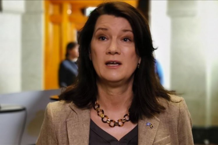 Dışişleri Bakanı Ann Linde, Kovid-19'a y&ouml;nelik "İsve&ccedil; stratejisini" değerlendirdi