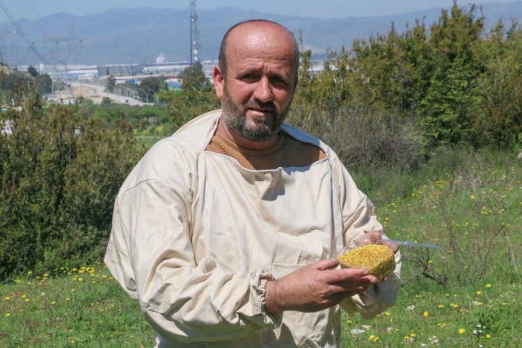 Propolise salgınla birlikte ilgi arttı
