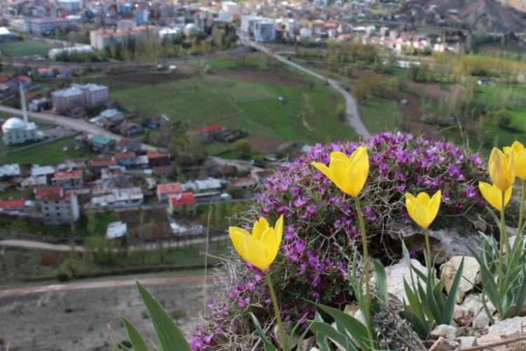 Baharla birlikte dağlar renklendi