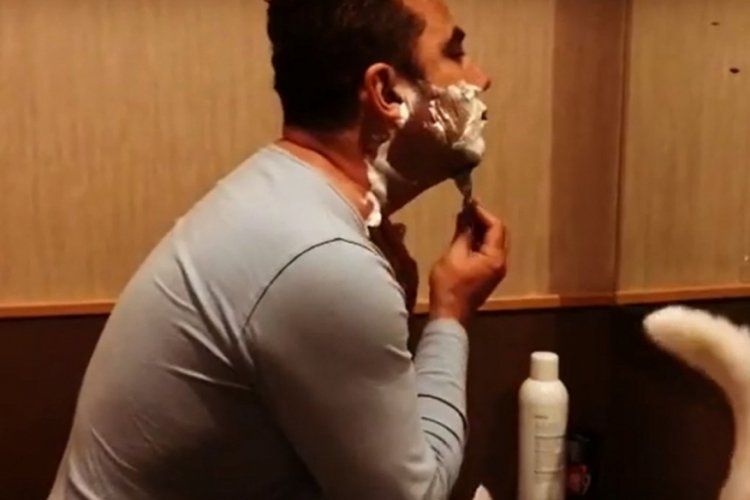 Kedisi, Ferhat G&ouml;&ccedil;er'e rahat vermedi