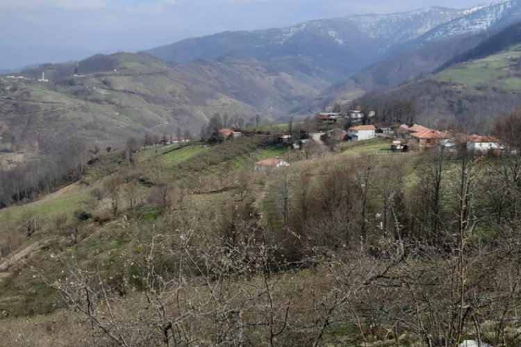 Tokat'taki Alan k&ouml;y&uuml;nde, karantina 14 g&uuml;n uzatıldı