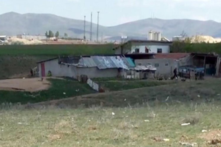 4 yaşındaki &ccedil;ocuk k&ouml;pek saldırısında &ouml;ld&uuml;