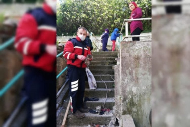 Boruya sıkışan kediyi itfaiye kurtardı