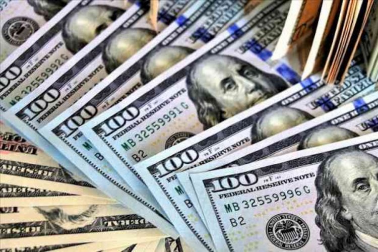 2 milyon doların &uuml;zerindeki Kovid-19 kredilerine denetim