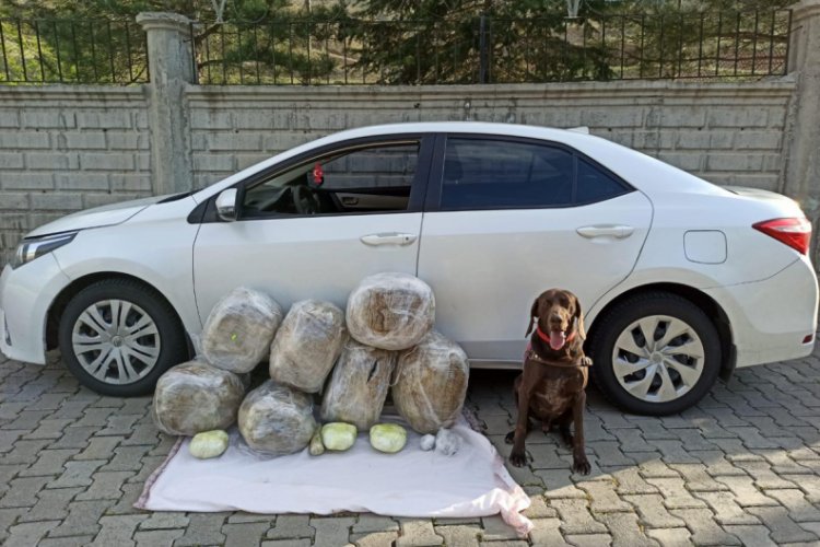 'Kadah'lı aramada otomobilde 62 kilo esrar ele ge&ccedil;irildi