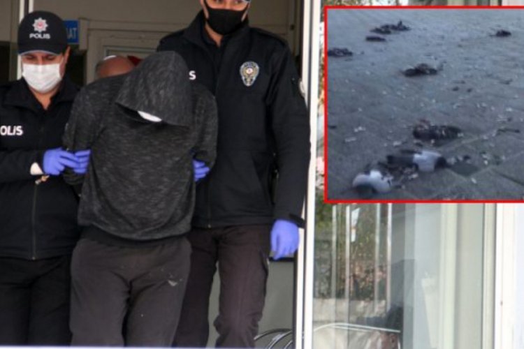 G&uuml;vercinleri ezen kişi adli kontrolle serbest bırakıldı