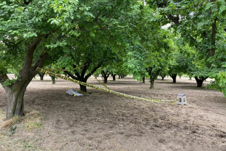 Tartıştığı babasını kurusıkı tabancayla yaraladı
