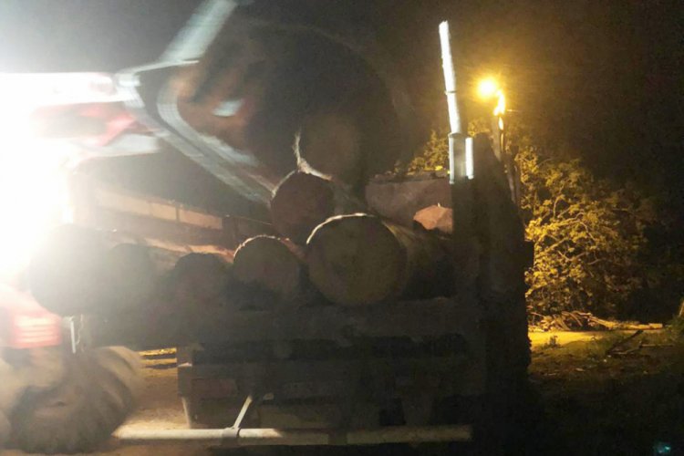 Bursa'da ka&ccedil;ak orman kesimine g&ouml;zaltı