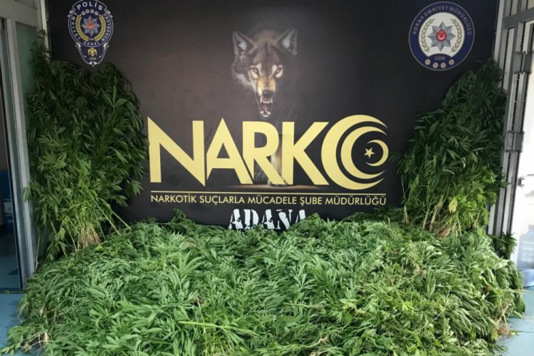 Adana'da Hint keneviri serasına baskın