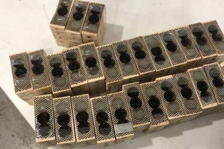 Sınır kapısında bin 500 canlı krali&ccedil;e arı ele ge&ccedil;irildi!