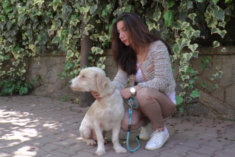 Kayıp k&ouml;peğini bulana 5 bin TL &ouml;d&uuml;l verecek