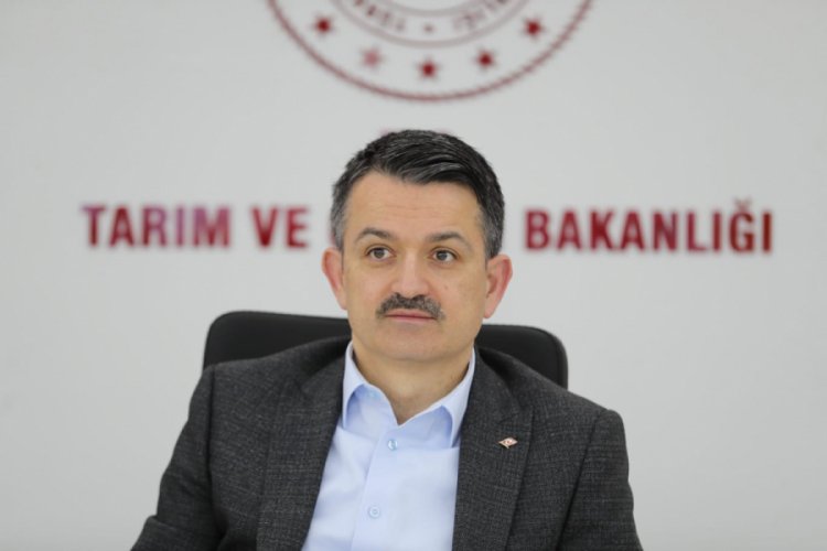 Bakan Pakdemirli: Anadolu kiraz yurdu oldu