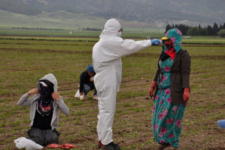 İslahiye'ye gelen 1500 mevsimlik tarım iş&ccedil;isi &ccedil;adırlarında karantinada