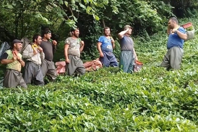 &Ccedil;ay iş&ccedil;iliğinin yevmiyesi artınca bah&ccedil;elerde &ccedil;alışma talebi &ccedil;oğaldı