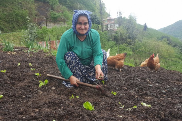 Ordu'da sokağa &ccedil;ıkma kısıtlamasında &uuml;reticiler bah&ccedil;elerde