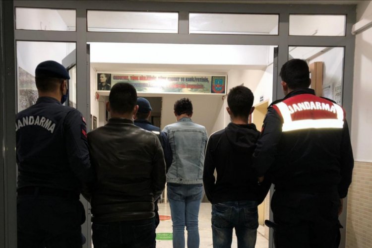K&uuml;&ccedil;&uuml;kbaş hayvan hırsızlığına 3 tutuklama