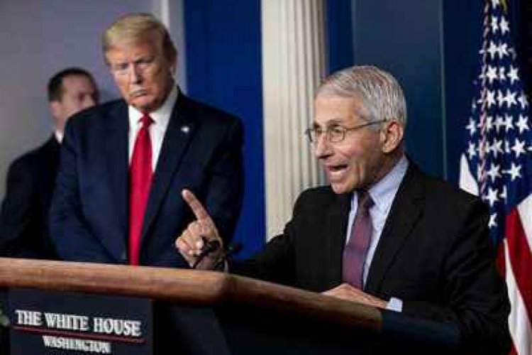 Fauci, Senato Sağlık Komitesi'nde ifade verecek