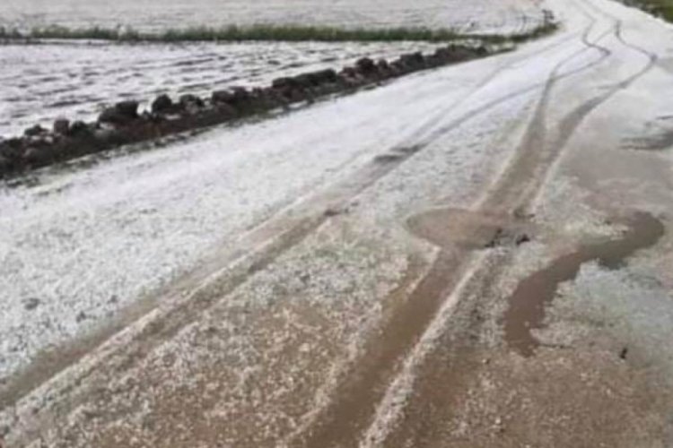 Dolu ekili alanlarda zarara yol a&ccedil;tı