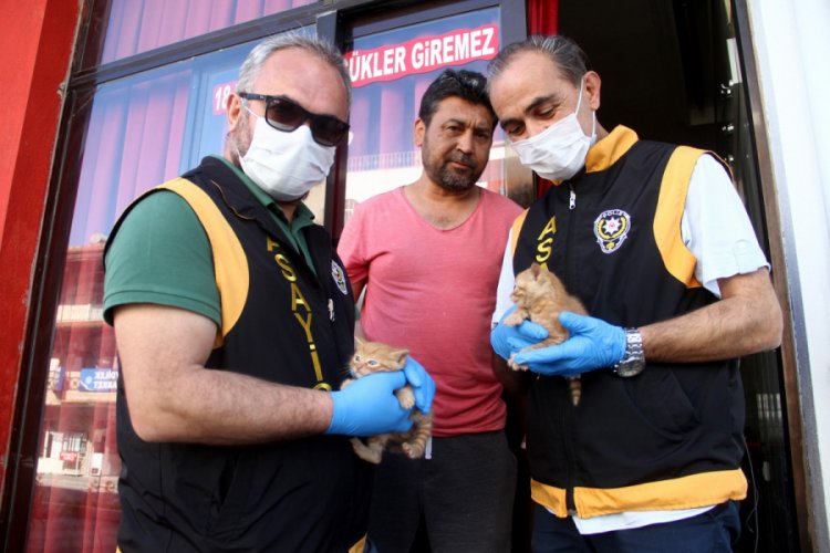 Mahsur kalan kedi ve 2 yavrusu kurtarıldı