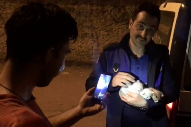 Bursa'da yavru kedi ve annelerini zabıta kavuşturdu