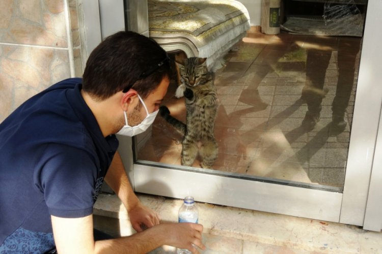 Bursa'da kısıtlama &ouml;ncesi mağazada mahsur kalan kedi, 2 g&uuml;n sonra kurtarıldı