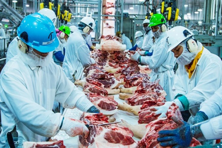 Domuz eti üreten fabrikada 370'ten fazla işçide koronavirüs çıktı