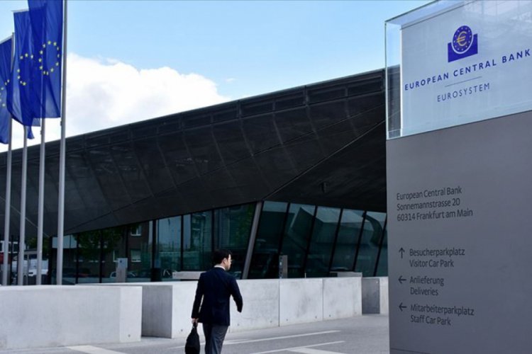 ECB anketi: Ekonomide toparlanma yavaş ve kademeli olacak